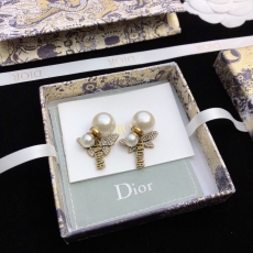 Christian Dior Earrings